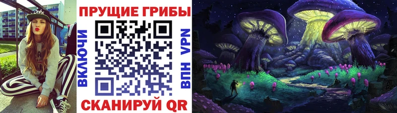 сайты даркнета клад  Новотитаровская  Псилоцибиновые грибы MAGIC MUSHROOMS 